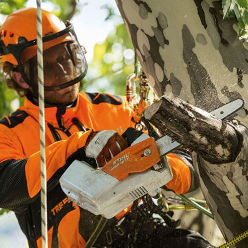 STIHL MSA 161 T Arborist Cordless Chainsaw